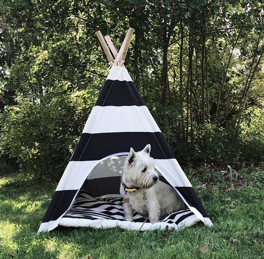 Modern Pet Tent for Stylish Homes,