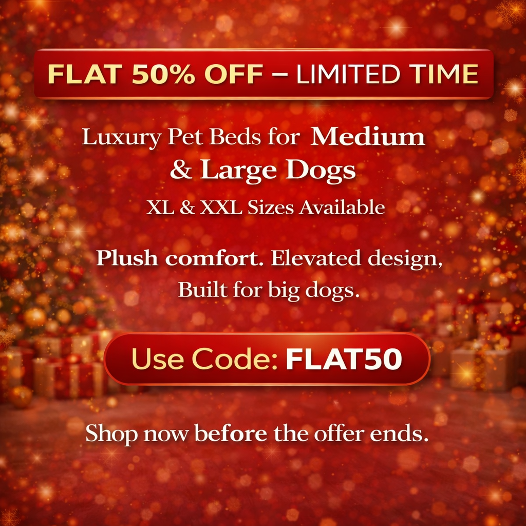 Luxe Raised Pet Sofa Bed for Large Dogs – Blush Pink | XL & XXL Sizes