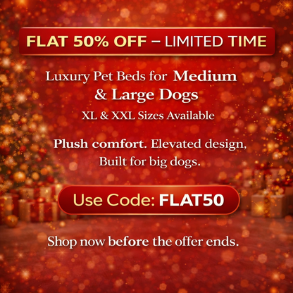 Luxe Raised Pet Sofa Bed for Large Dogs – Sky Blue | XL & XXL Sizes