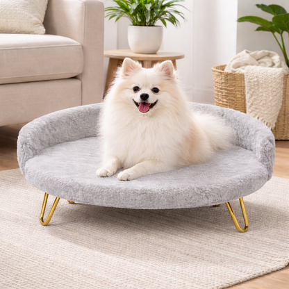 Luxe Plush Pet Bed with Gold Legs – Light Grey (Sofa-Style)
