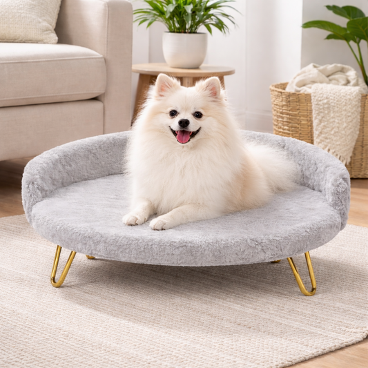 Luxe Plush Pet Bed with Gold Legs – Light Grey (Sofa-Style)