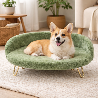 Luxe Plush Pet Bed with Gold Legs – Green (Sofa-Style)