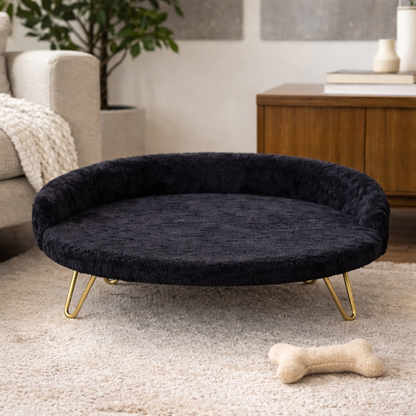 Luxe Plush Pet Bed with Gold Legs – Black (Sofa-Style)