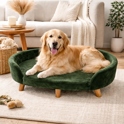 Luxe Raised Pet Sofa Bed for Large Dogs – Forest Green | XL & XXL Sizes (Copy)