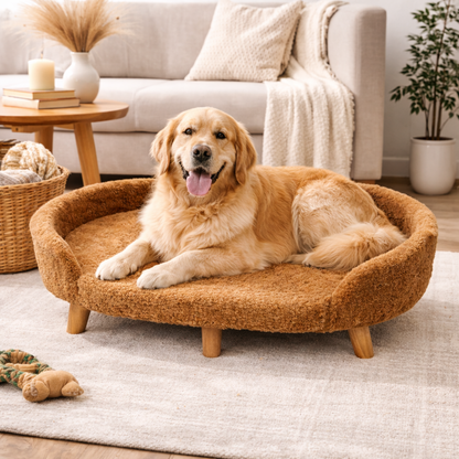 Luxe Raised Pet Sofa Bed for Large Dogs – Caramel Brown | XL & XXL Sizes (Copy)