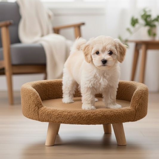 Plush Luxe Pet Bed – Small - Mocha Beige