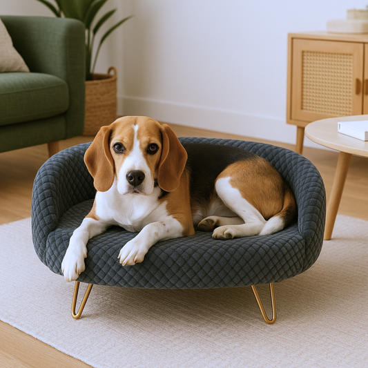 Luxe Quilted Pet Bed with Gold Hairpin Legs – Charcoal Grey